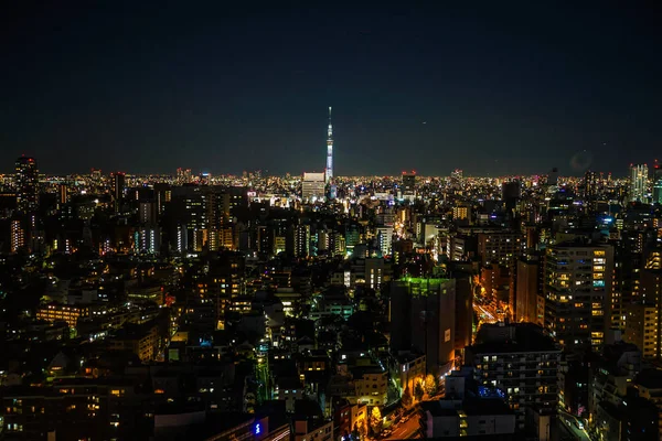 Árbol Del Cielo Visible Desde Centro Cívico Bunkyo —  Fotos de Stock