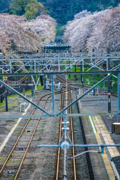 Tavaszi Yamakita Állomás Kanagawa Ashigarakami Kerület — Stock Fotó