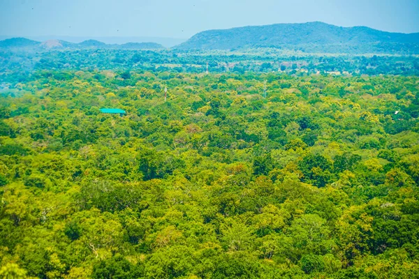 Τοπίο Ορατό Από Την Κορυφή Του Βράχου Sigiriya — Φωτογραφία Αρχείου