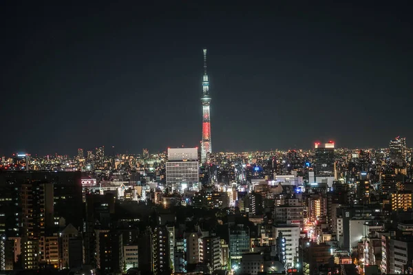 Árbol Del Cielo Visible Desde Centro Cívico Bunkyo — Foto de Stock