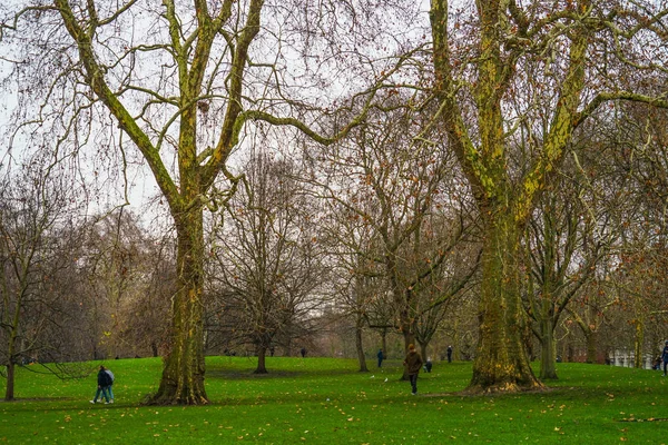 James Park Forest Landscape — Stock Photo, Image