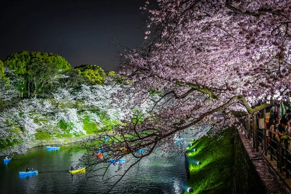 Από Chidorigafuchi Πρόκειται Δείτε Άνθη Κερασιάς Νύχτα — Φωτογραφία Αρχείου