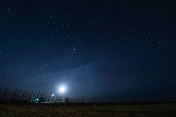 Islandia Pastizales Cielo Estrellado — Foto de Stock