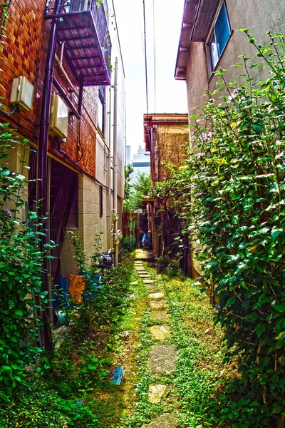 Ruelle Arrière Quartier Résidentiel — Photo