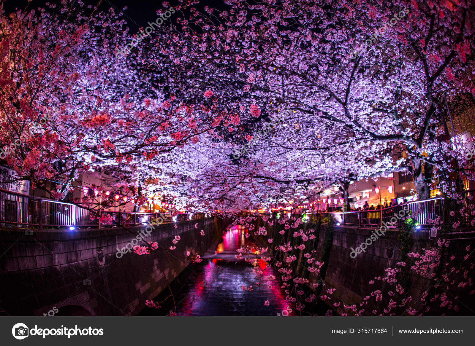 Going See Cherry Blossoms Night Nakameguro Meguro River — Stock