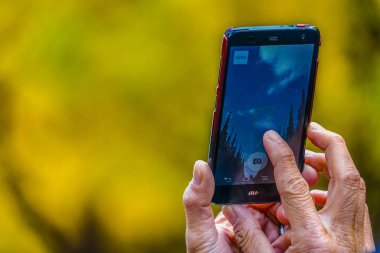 Dış bahçe ginkgo tapınağı Akıllı telefonun ağaç sıraları üzerine