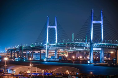 Yokohama Körfezi Köprüsü tepe parkından liman manzaralı.