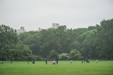 Central Park manzara resmi