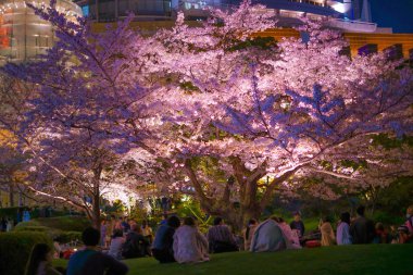 Mohri Garden of going to see cherry blossoms at night and Roppongi Hills clipart
