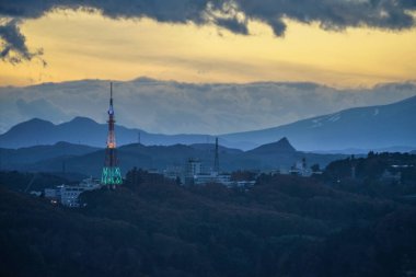 Miyagi Bölgesi ve Sendai sokakları (Aer Gözlemevinden))