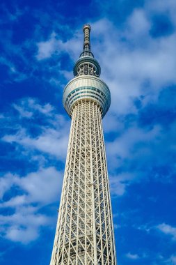 Tokyo Gökyüzü Gökyüzü Ağacı ve güzel hava