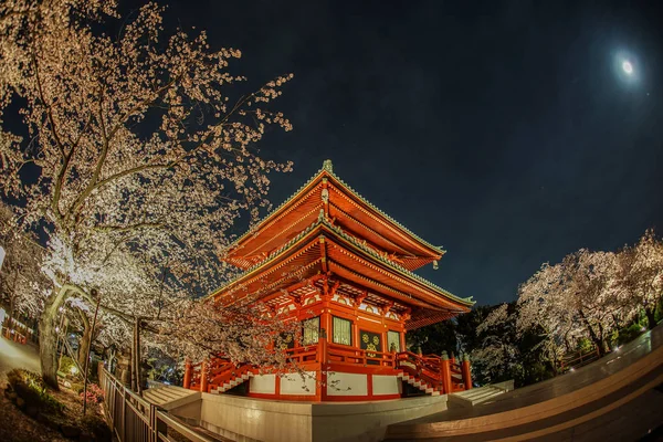 Ναός Και Πρόκειται Δείτε Άνθη Κερασιάς Νύχτα — Φωτογραφία Αρχείου