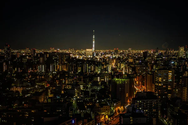 Sky Träd Synliga Från Bunkyo Civic Center — Stockfoto