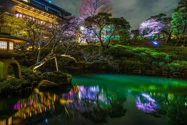 Bahar Japon Bahçesinin Resmi — Stok fotoğraf