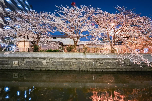 Άνθη Κερασιάς Και Αστικό Τοπίο Της Γιοκοχάμα Από Ελαφρύ Ένδυμα — Φωτογραφία Αρχείου