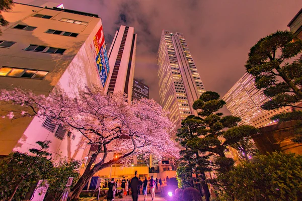 Skyskrapor Shinjuku Och Körsbär För Nedskrivning — Stockfoto