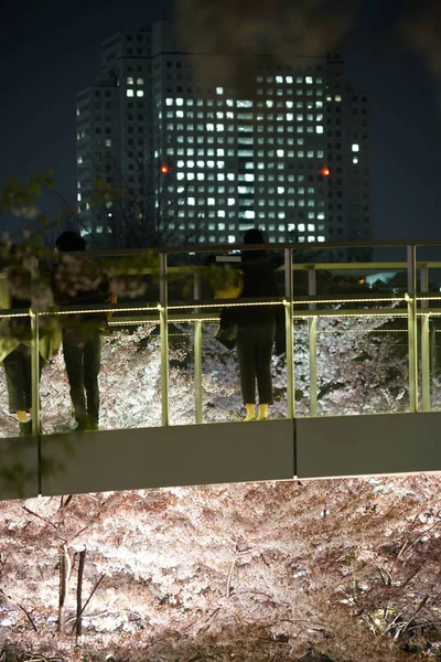 Folk Beundrar Körsbärsblommorna Tokyo Midtown — Stockfoto