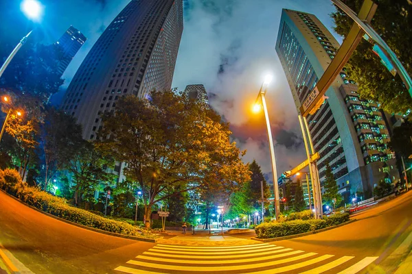 Tokyo Shinjuku Skyskrapor Nattutsikt — Stockfoto