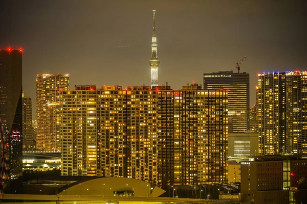 Nachtzicht Van Tokio Vanaf Odaiba Tokyo — Stockfoto