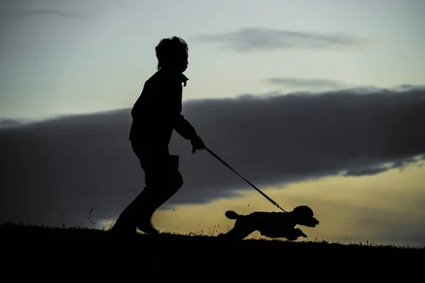 Человеческий Силуэт Собаке Прогулки Вечером Холме — стоковое фото