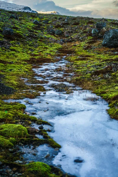 アイスランド 小川のVatnajokull — ストック写真