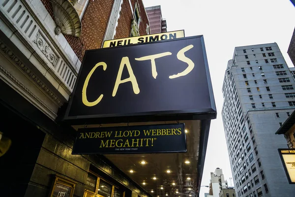 Görüntü Kedileri Tiyatrosu