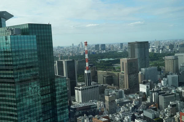 Skyline Van Tokyo Vanaf Het Observatiedek Van Caretta Shiodome — Stockfoto