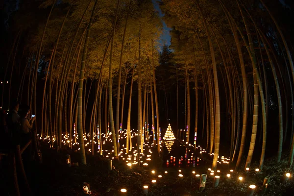 Iluminação Pequeno Diâmetro Bosque Bambu Pequena Escrivaninha Castelo Floresta Cidadão — Fotografia de Stock