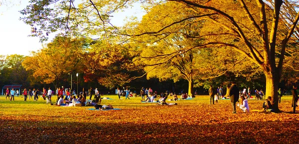 sonbahar arkaplanı, seçici odak