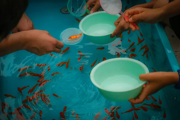 Imagen Salvación Peces Colores Del Festival Verano —  Fotos de Stock