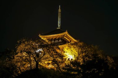 Kiraz çiçekleri ve eski tapınak tapınağı. 