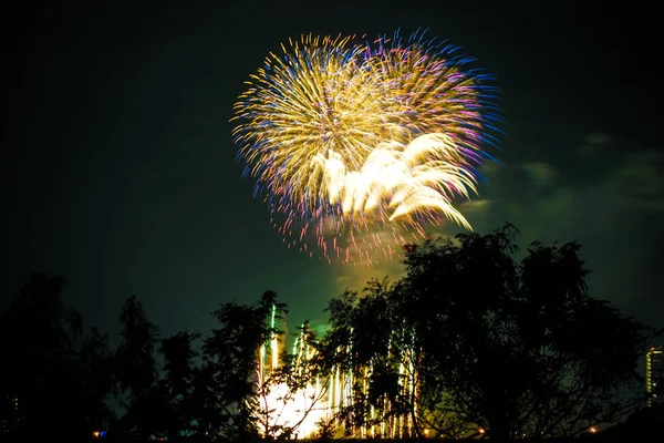 Setagaya Tama River Fireworks Display 2019 — 스톡 사진