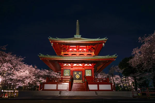 Tempel Gaan Kersenbloesems Zien Nachts — Stockfoto