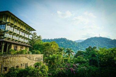 Resmin dinlenme yeri (Sri Lanka Şekeri)