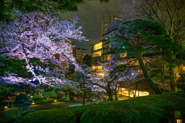 Bahar Japon bahçesinin resmi