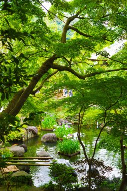 Hase-dera Tapınağının taze yeşili