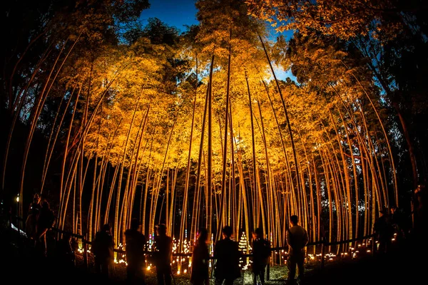 Iluminação Pequeno Diâmetro Bosque Bambu Pequena Escrivaninha Castelo Floresta Cidadão — Fotografia de Stock