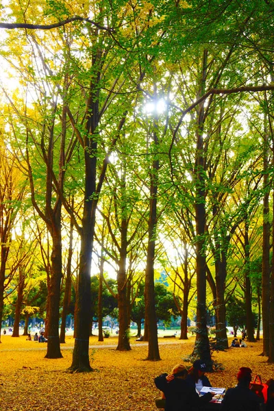 Lin Barwiony Jesienią — Zdjęcie stockowe