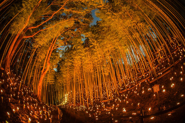Малый диаметр освещения бамбуковой рощи (небольшой письменный стол Замковый лес гражданина
)