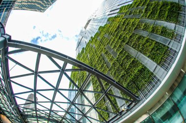 Yüksek binalardan ve gökyüzünden Shibuya