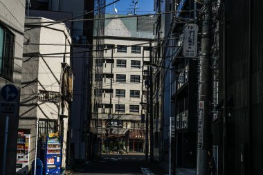 peyzaj arka planı, seçici odak