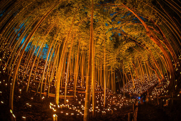 Малый диаметр освещения бамбуковой рощи (небольшой письменный стол Замковый лес гражданина
)