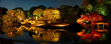 Japonya bahçe resmi (Panorama)