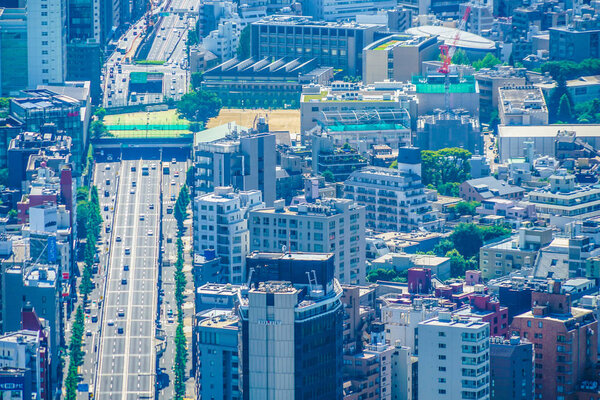 Shibuya landscape from the Roppongi Hills Observation Deck