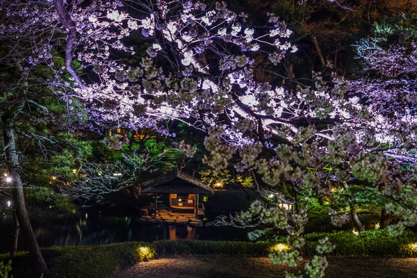 Bahar Japon Bahçesinin Resmi — Stok fotoğraf