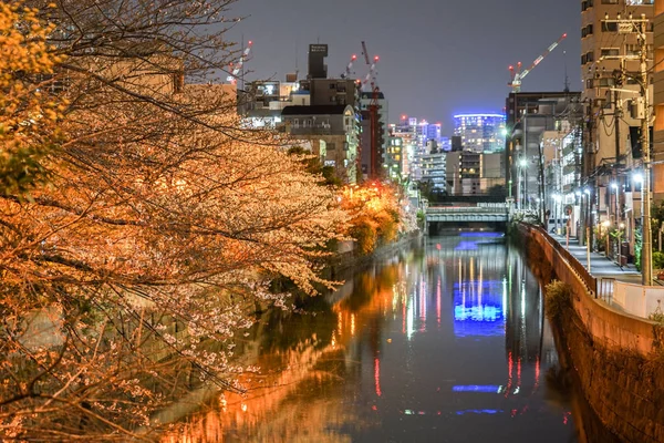 Les Fleurs Cerisier Paysage Urbain Yokohama Vêtement Léger Chanvre River — Photo