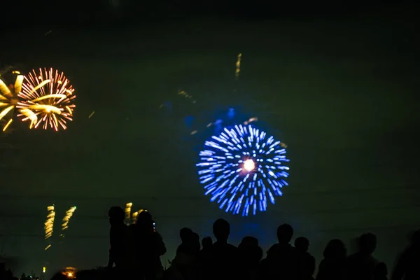 Tama River Fireworks Display Fireworks 2018 — ストック写真