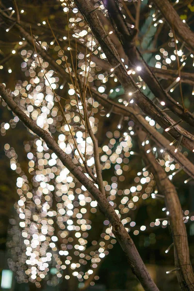 Hermosa Navidad Iluminaciones Imagen — Foto de Stock