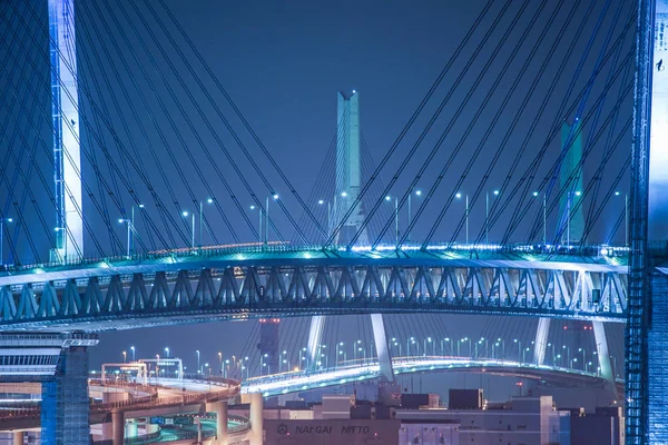 从山上公园俯瞰海港的横滨湾大桥 — 图库照片