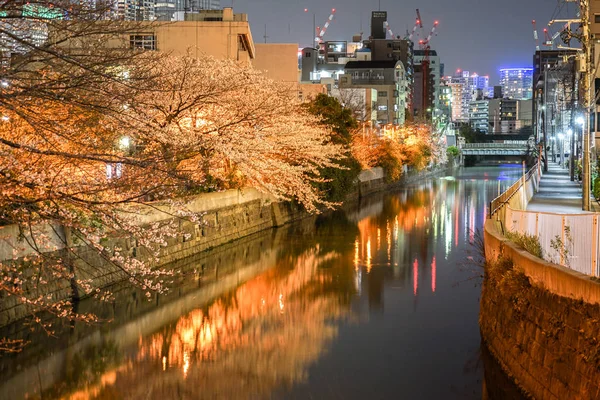 Kwiat Wiśni Pejzaż Miasta Jokohamy Lekkiej Konopnej Odzieży Rzeka — Zdjęcie stockowe